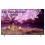 TV OLED LG OLED77Z19LA