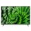 TV LED LG 65UN80006