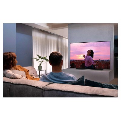 TV OLED LG 48CX6