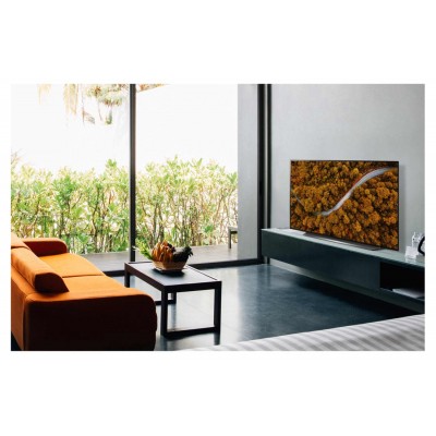 TV OLED LG 48CX6