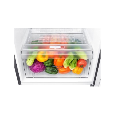 Frigorífico LG GTB362PZCZD