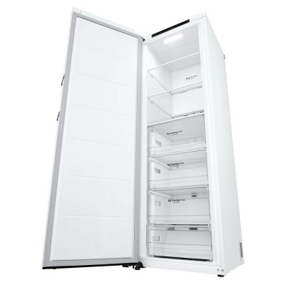 Congelador LG GFT41SWGSZ