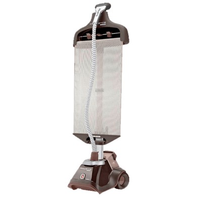Cepillo Vapor ROWENTA IS6300