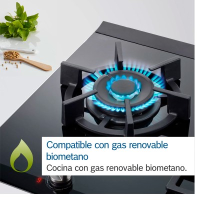 Placa BOSCH PRA3A6B70