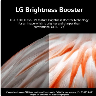 TV OLED LG OLED48C34LA