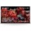 TV Mini  LED SONY XR-65X95L  Google TV