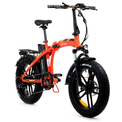 Bicicleta eléctrica YOUIN Dubai BK1600O