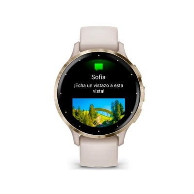 Smartwatch GARMIN Venu 3S Ivory +...