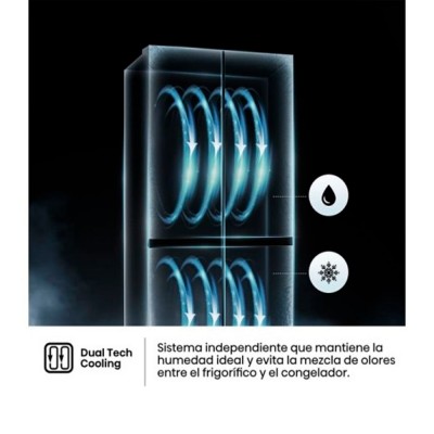 Frigorífico Hisense RQ5P470SAID