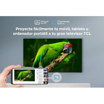 TV TCL 55P61B