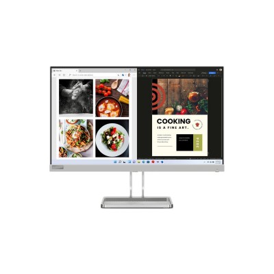 Monitor PC LENOVO L24I-40