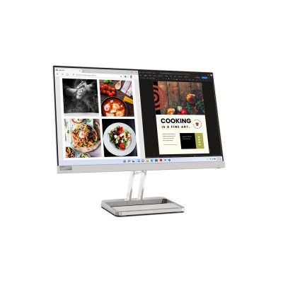 Monitor PC LENOVO L24I-40