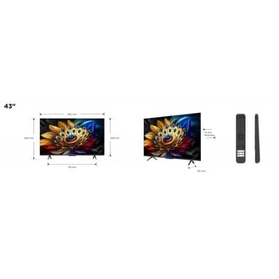 TV TCL 43C655