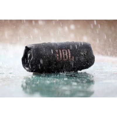 Altavoz JBL CHARGE5 Gris