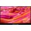 TV SAMSUNG TQ55QN90FATXXC
