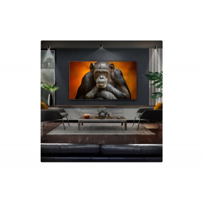 TV LG OLED77G54LW