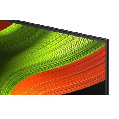 TV LG OLED55B56LA