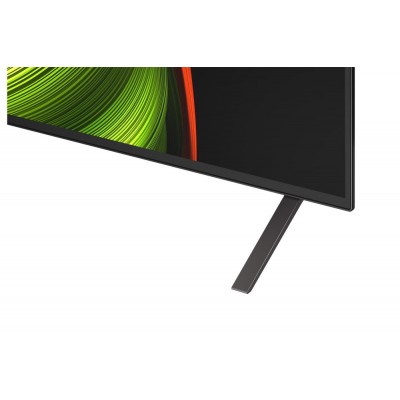 TV LG OLED55B56LA