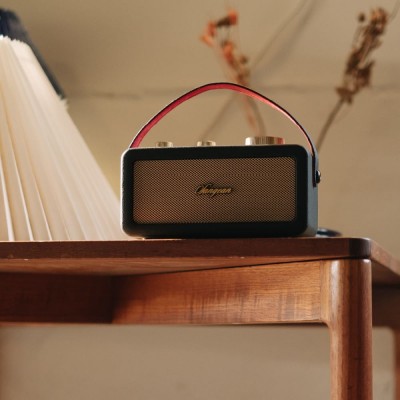Altavoz SANGEAN RA-101 Dorado