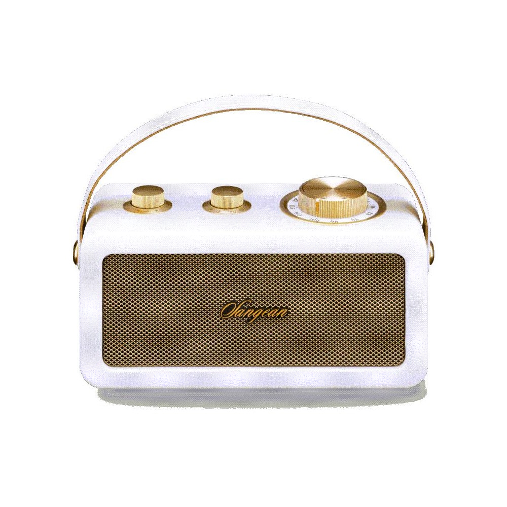 Altavoz SANGEAN RA-101 Dorado