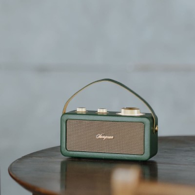 Altavoz SANGEAN RA-101 Dorado