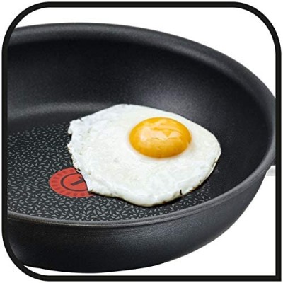 Sartén TEFAL Expertise 19cm